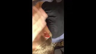 Twink Kneels for a Mature Daddy's Blowjob