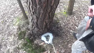 Twinks Piss Together Outdoors by a Tree
