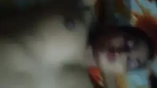 Indian Amateur Couple Fucks Hard in Homemade Village Clip