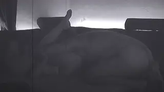 European MILF Takes a Tourist in Doggystyle and Missionary