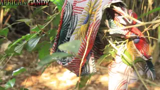 Ebony Babe Squirts on BBC in Outdoor Bush