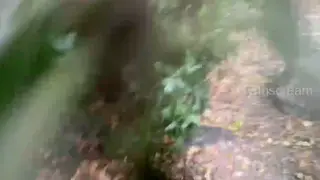 Petite Latina Takes a Deep Creampie Outdoors