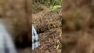 Curvy Latina Teen Takes a Stranger's Cock in Her Ass