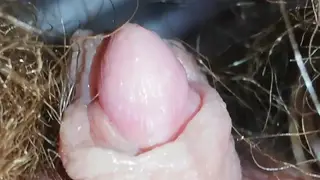 Hairy Lesbian Shows Off Big Clit and Dripping Wet Pussy