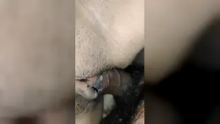 Busty Teen Wife Explores Rim Play in Intimate Bedroom Session