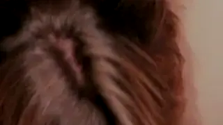 Retro Lovers Share Intimate Anal in Vintage Film