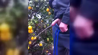 Amateur Guy Releases a Steady Stream at Home