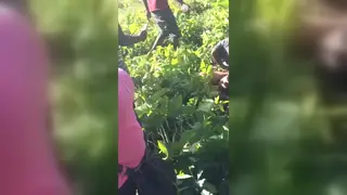 Latino and Black Studs Bareback Outdoors in Public