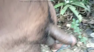 Tattooed Bear Explores Toys With Partner Outdoors