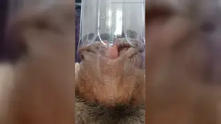 Latina MILF Uses Pussy Pump in POV Solo Session