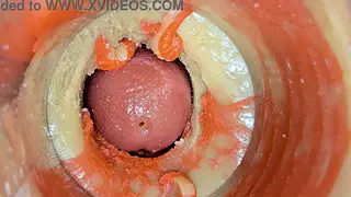 Internal Camera Captures Creampie and Swallow in POV