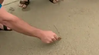 Vintage Couple Fucks Outdoors in Retro Park