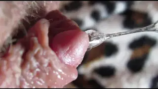 Woman Reaches Intense Climax with Big Clit Close-Up