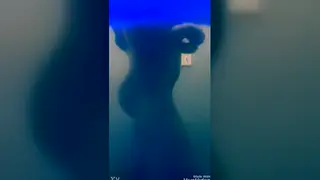 Chubby Bear Shows Off His Big Ass Twerking Solo