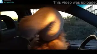 Petite MILF Flashes While Cruising Down the Highway
