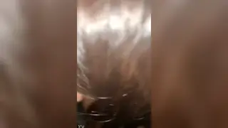Quick Anal Clip Shows Raw Backdoor Action