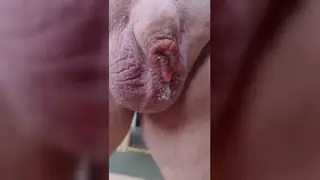 Mature European Man Pisses in POV Close-Up