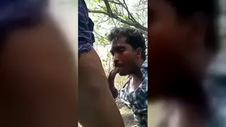 Indian Asian Stud Swallows Cum Outdoors