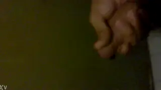 Amateur Clip Shows Brief Exchange in Sunlit Room