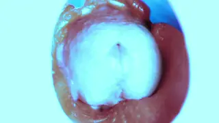 Twink Explores Toys and Deep Throat POV
