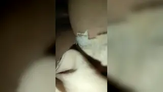Asian Teen Takes Rough Anal and Creampie in Homemade Clip