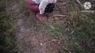 Indian Wife Gives Handjob Then Takes Anal Outdoors