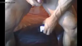 Hairy Muscle Bear Strokes Thick Cock to Explosion