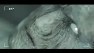Pregnant Curvy Woman Takes Hard Anal Ending in Creampie