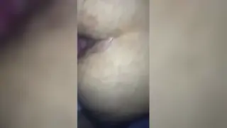 Hairy Bear Flaunts Heavy Cheeks in Solo Display