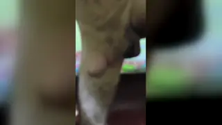 Asian Teen Strokes His Thick Cock to a Messy Climax