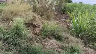 Indian Couple Shares First Bareback Kiss Outdoors