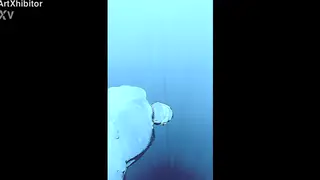 Mature Bear Shows Hairy Hole Outdoors