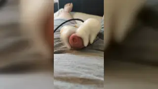 Mature European Stud Edges Uncut Cock with Vibrator to Massive Cumshot