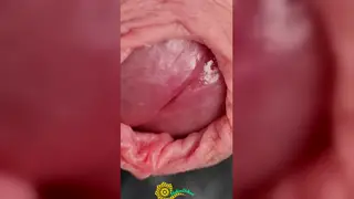 Latino Hunk Strokes His Big Cock in POV Close-Up