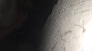 European Twinks Share Passionate Bare Encounter