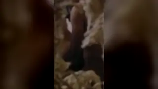 Japanese Amateur Strokes Alone in Quiet Moment
