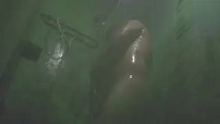 Two Guys Share a Quick Homemade Hookup