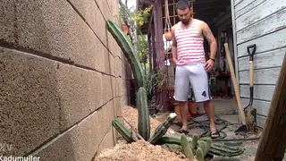 Hung Latino Pisses Outdoors in Solo Show