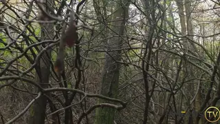 Mature Daddy Embraces Hunk Lover Under Open Sky
