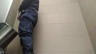 Mature European Unloads in Highway Restroom