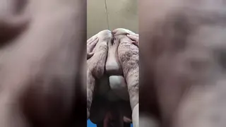 Voluptuous MILF Squirts Hard in Standing Doggystyle Compilation