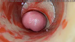 Toy Creampie Captured by Internal Camera