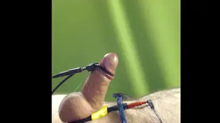 European Amateur Compilation Features Estim Cumshots and Toys