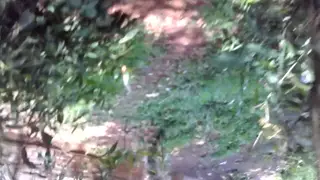 Bold Exhibitionist Strokes Thick Cock in Public Park Setting