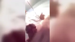 Asian Twink Delivers Slow, Skilled Blowjob