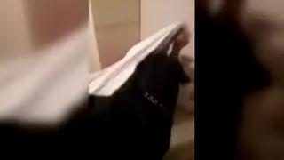 Inked Bear Takes Deep Anal From His Partner