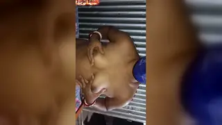 Indian BBW Couple Shares Passionate Oral Moment