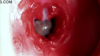 POV Anal Toy Play Ends With Oral Finish
