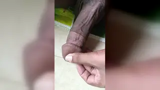 Indian Webcam Compilation Captures POV Home Encounters
