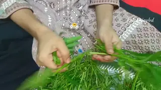 Indian Wife Cheats With Anal and Foot Play